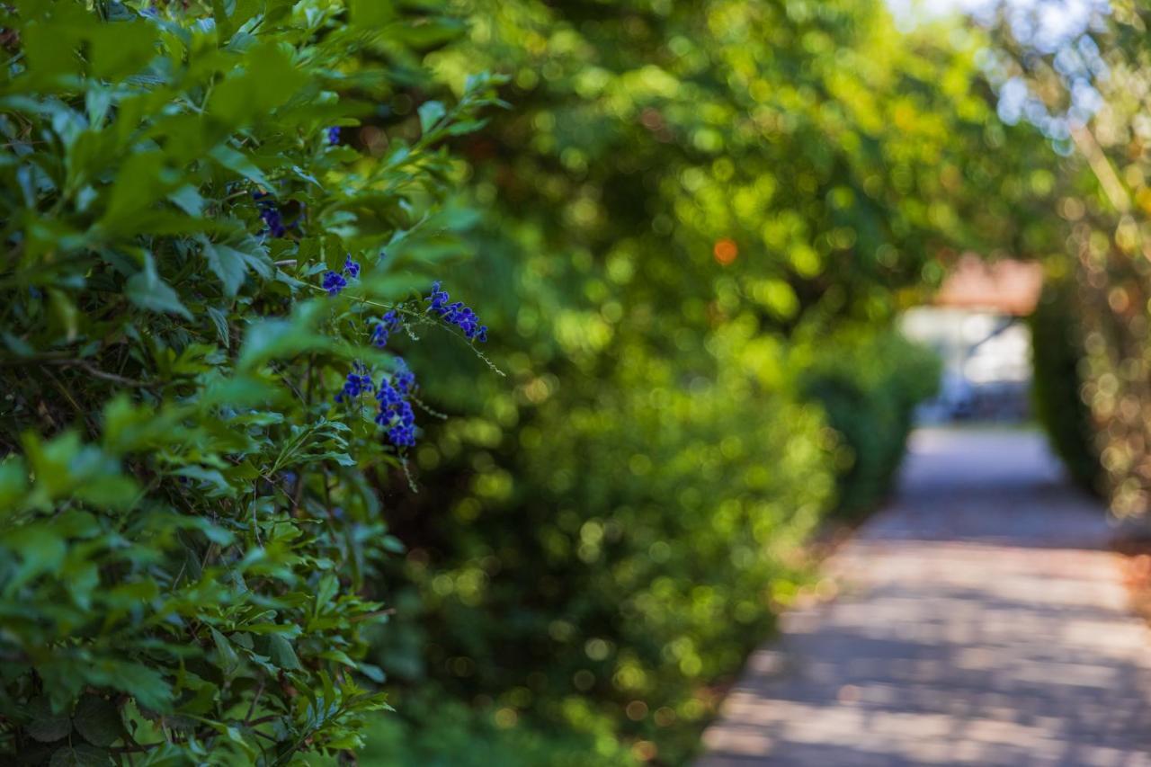 Gonen Kibbutz Country Lodging Apartment ภายนอก รูปภาพ