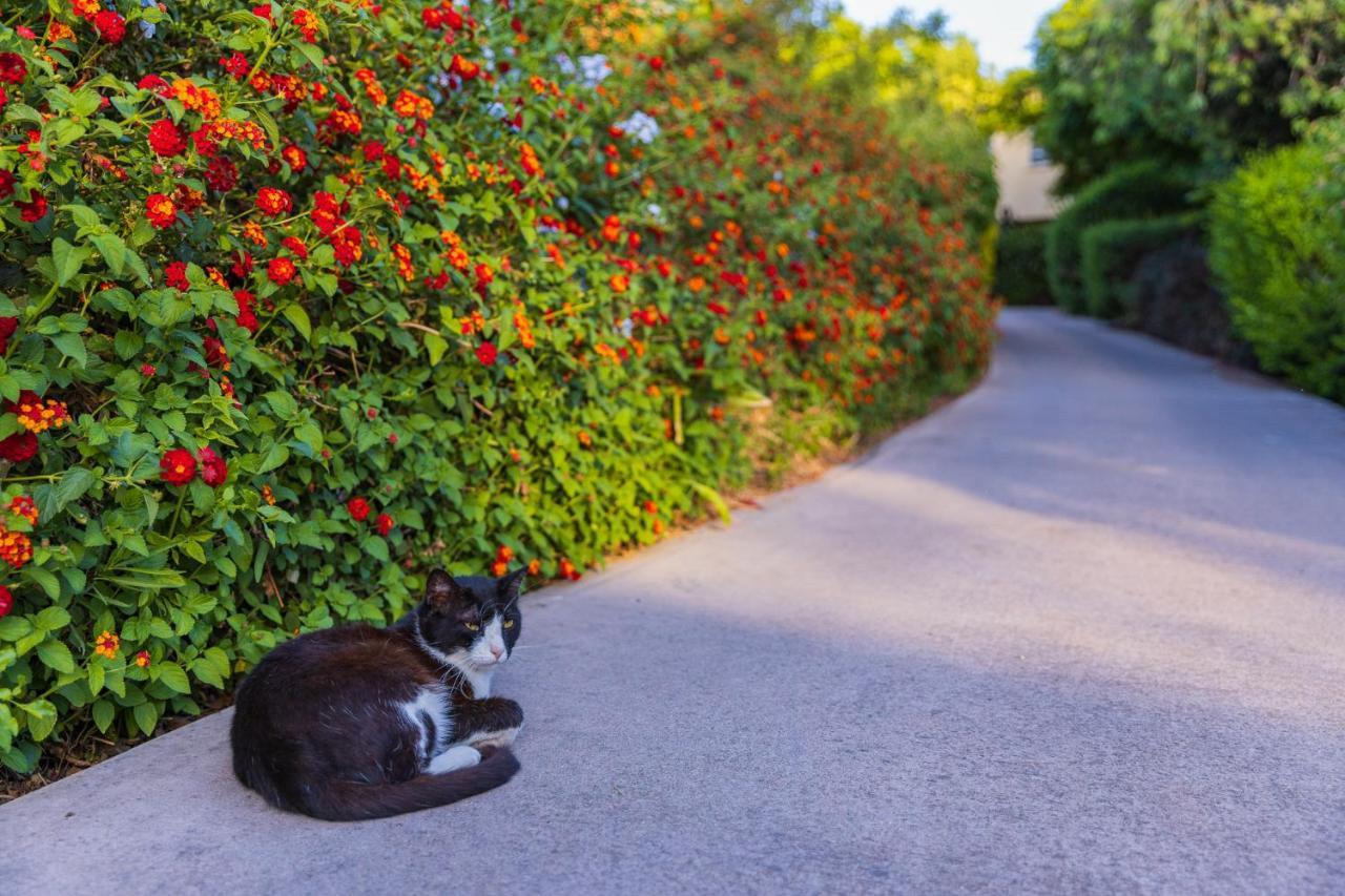 Gonen Kibbutz Country Lodging Apartment ภายนอก รูปภาพ