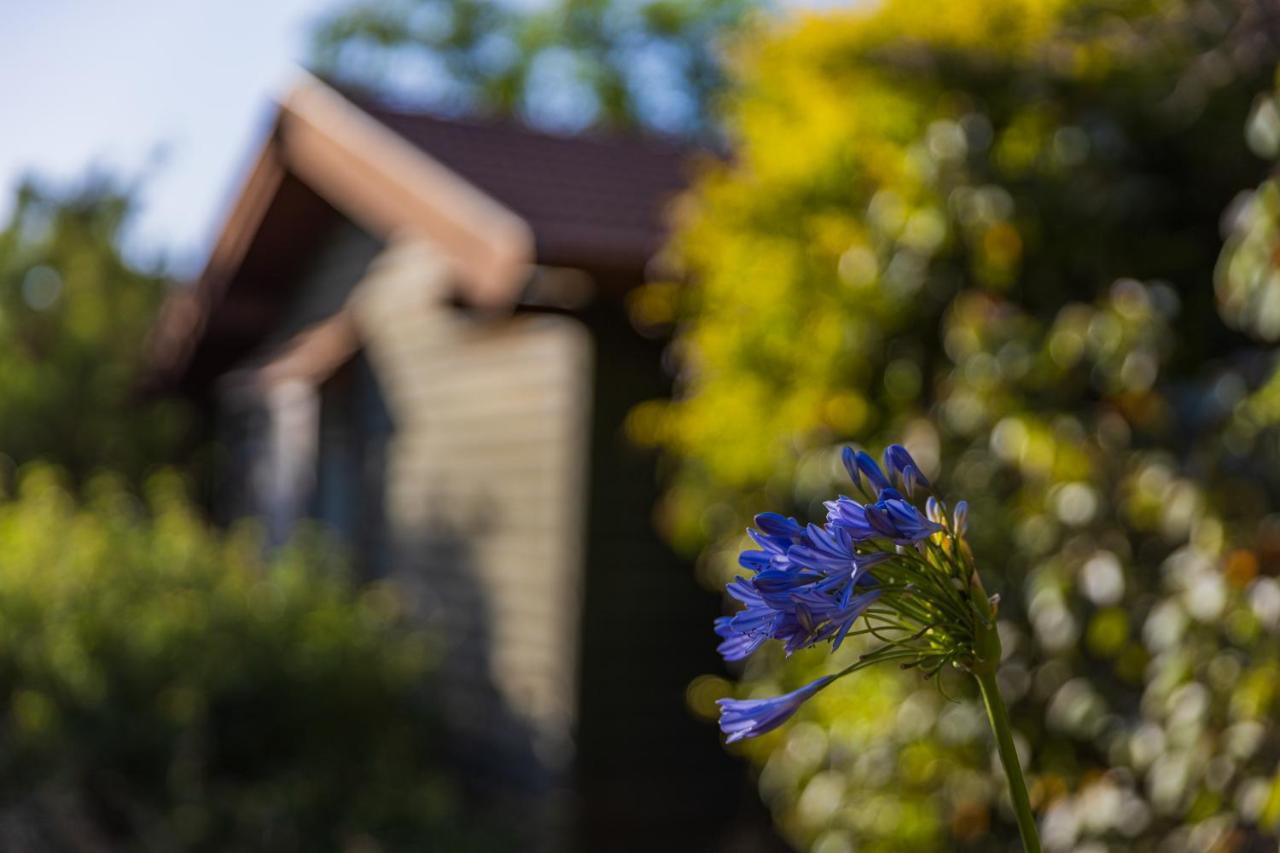 Gonen Kibbutz Country Lodging Apartment ภายนอก รูปภาพ